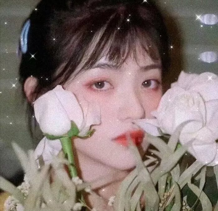 黑暗地平线