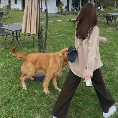 河曲马