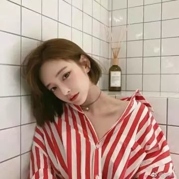 浪迹自由